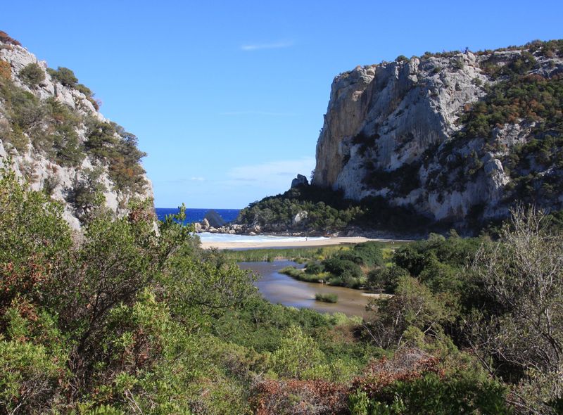 Dominique Verschuere