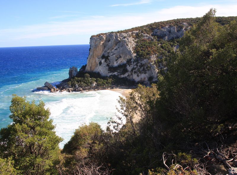 Dominique Verschuere