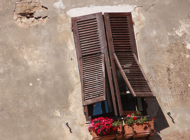 Dominique Verschuere