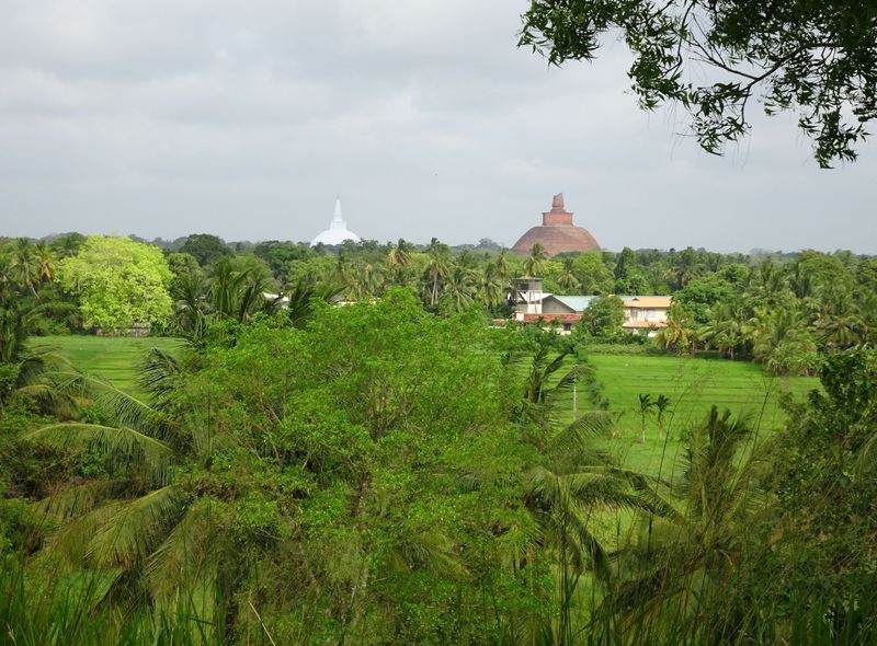  Sri Lanka Zuid-Azië rondreis