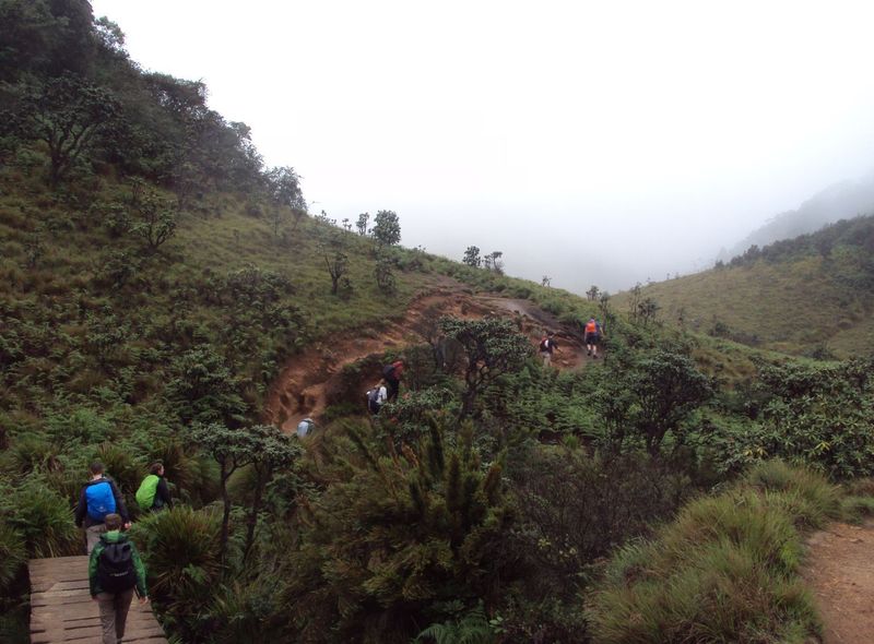 Sri Lanka Zuid-Azië rondreis