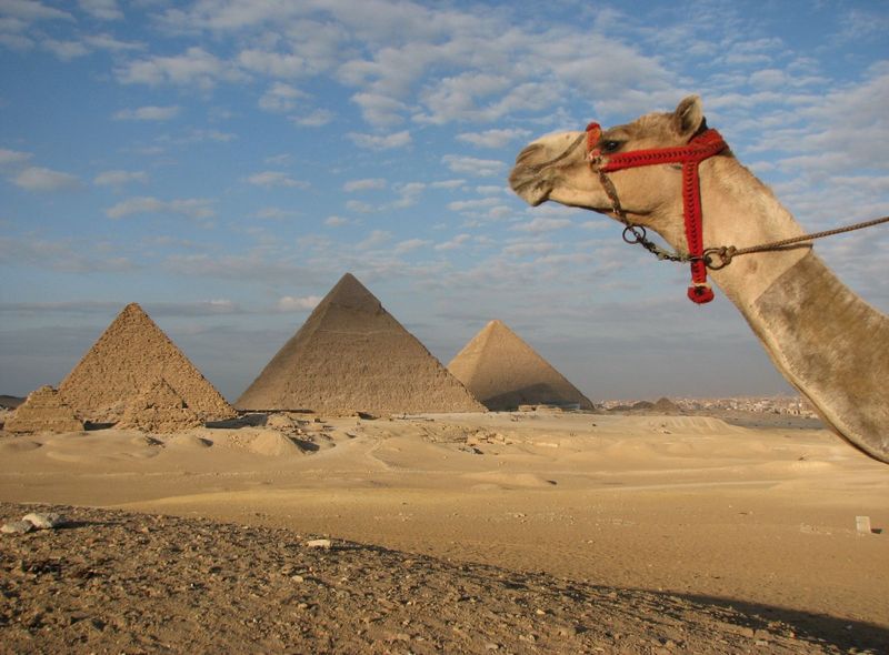 Egypte groepsreis piramides van Gizeh