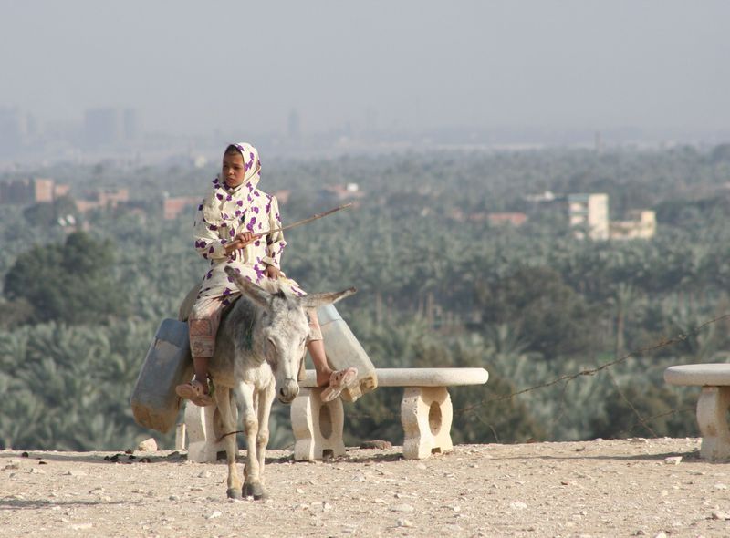 Egypte groepsreis
