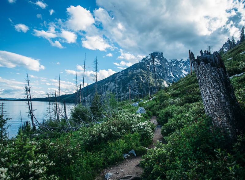 Groepsreis Rocky Mountains - Yellowstone