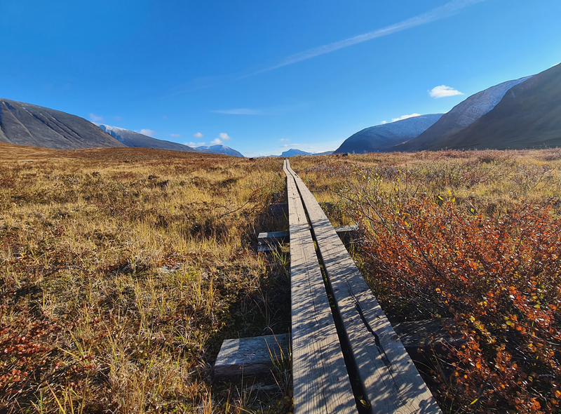 Groepsreis Zweden - Kungsleden