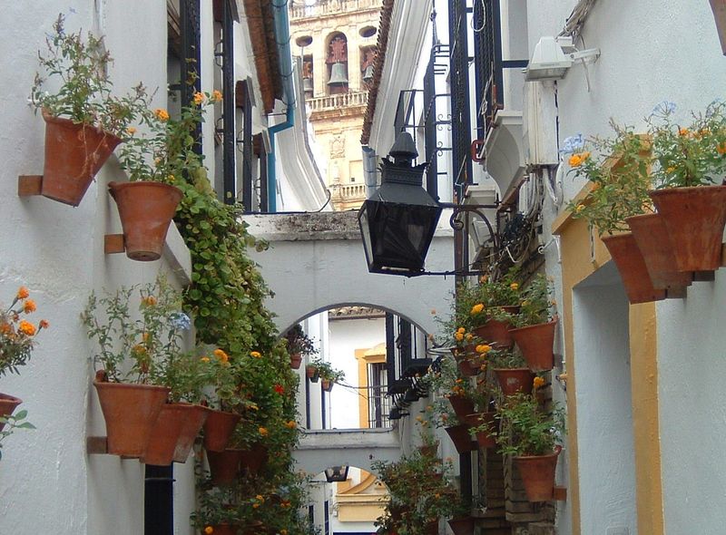 Groepsreis Spanje Andalusië