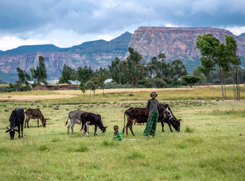 groepsreis Ethiopië community trekking