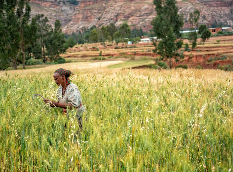 Ethiopië community trekking Tigray