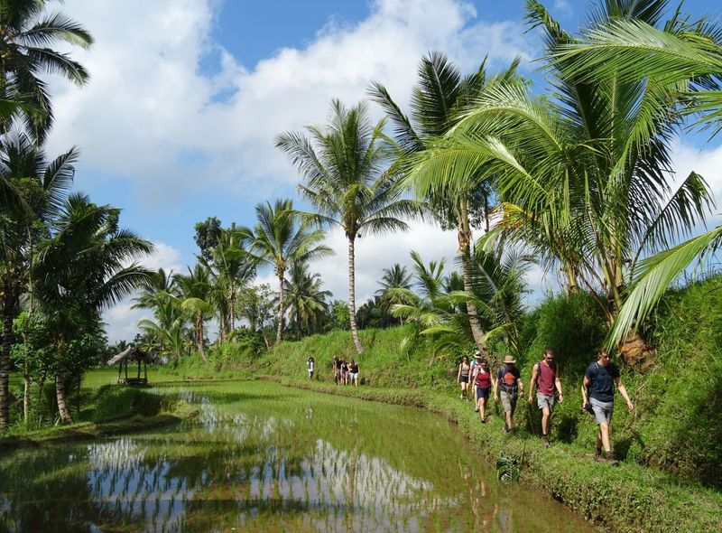 Indonesië - Flores, Lombok, Gili-eilanden, Bali