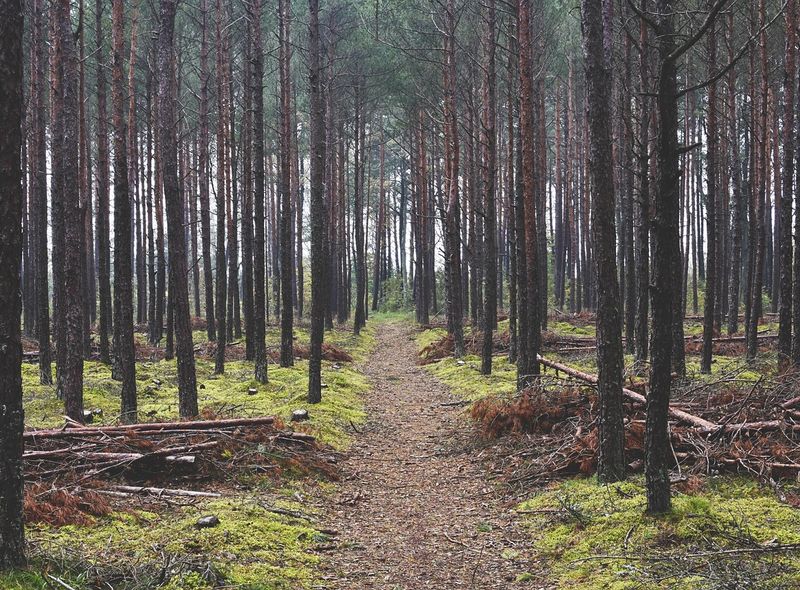 Groepsreis Litouwen Letland Estland
