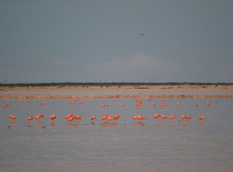 Guatemala, belize en Mexico