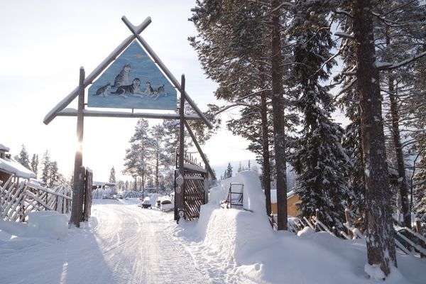 harriniva