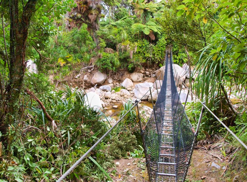 Heaphy Track