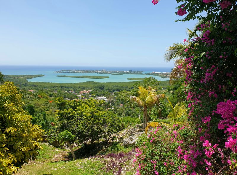Groepsreis Jamaica