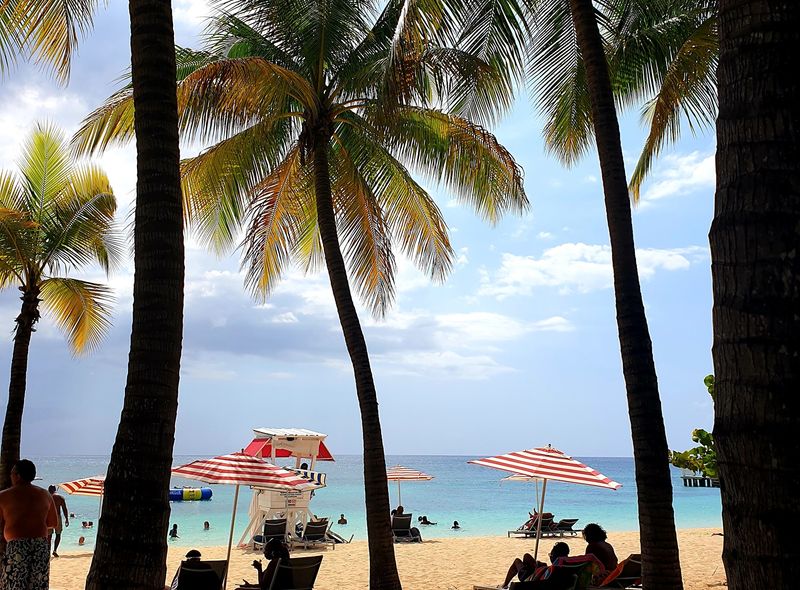 Groepsreis Jamaica