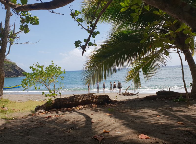 Groepsreis Jamaica