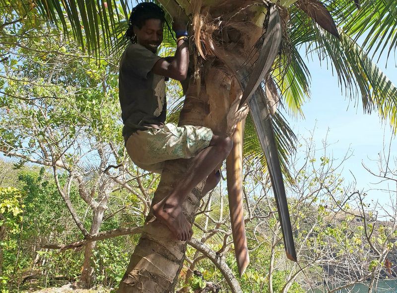 Groepsreis Jamaica