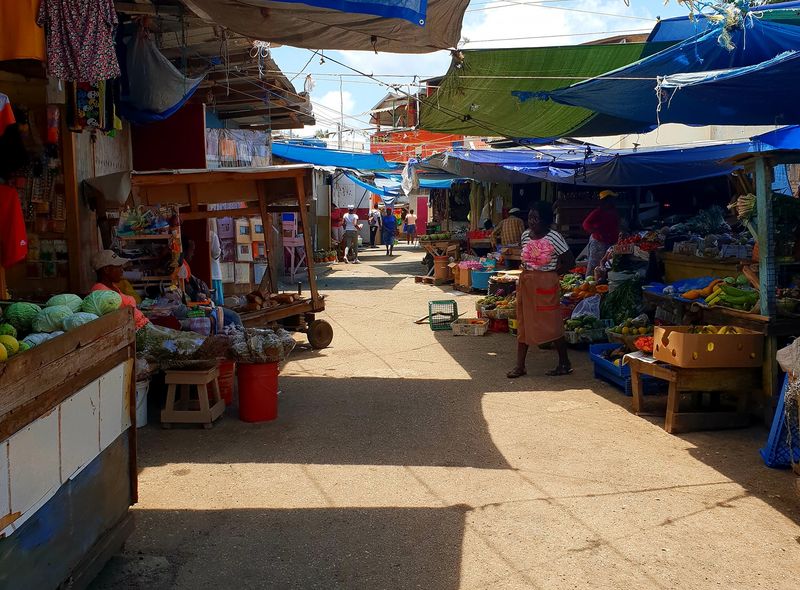Groepsreis Jamaica