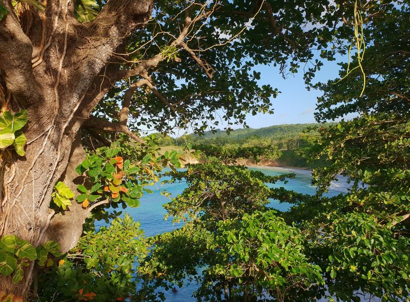 Groepsreis Jamaica