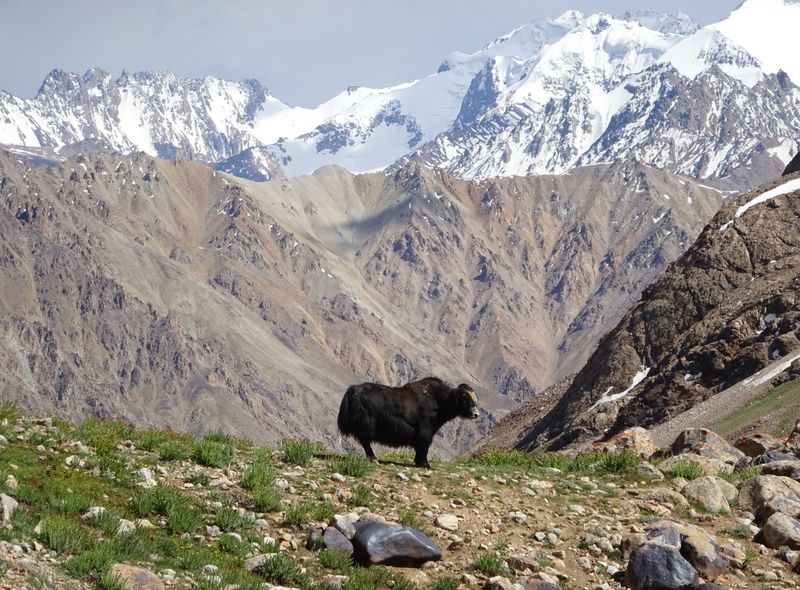 Groepsreis Tadzjikistan