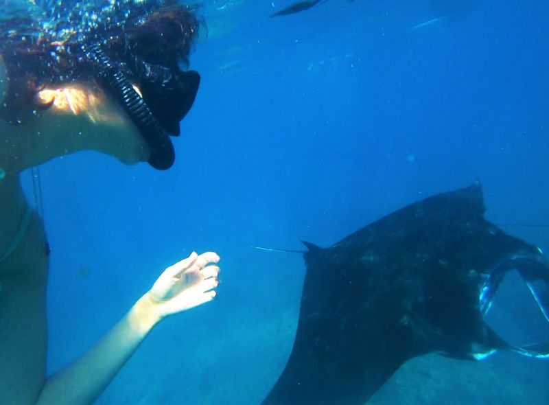 Indonesië - Flores, Lombok, Gili-eilanden, Bali