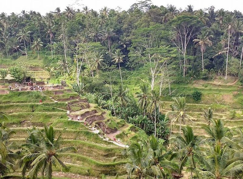 Indonesië - Java, Bali, Nusa Lembongan
