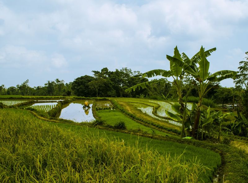 Indonesië - Java, Bali, Nusa Lembongan