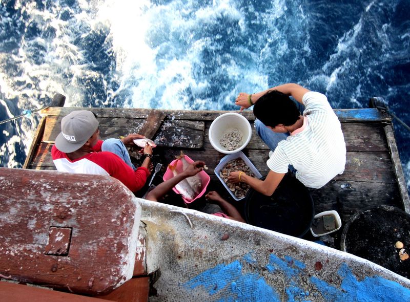 Indonesië - Flores, Lombok, Gili-eilanden, Bali