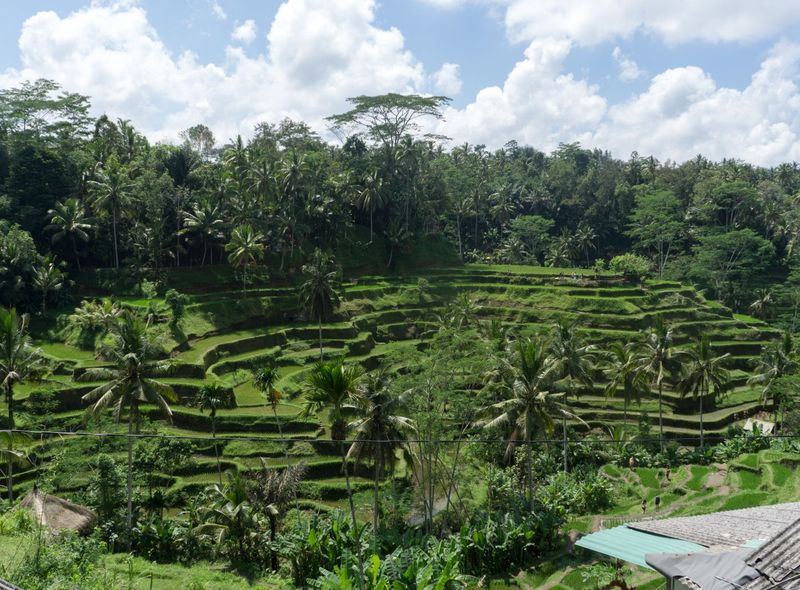 Indonesië - Java, Bali, Nusa Lembongan