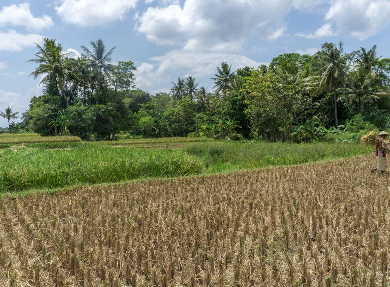 Indonesië - Java, Bali, Nusa Lembongan