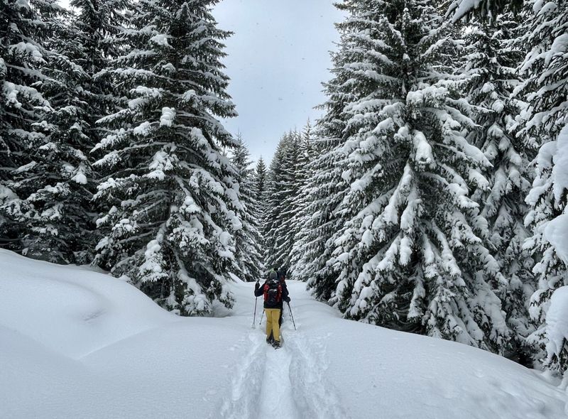 Groepsreis Montenegro