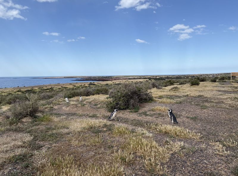 Groepsreis Patagonie