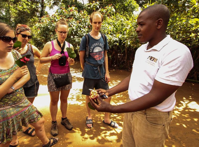 Spice tour kruiden Zanzibar