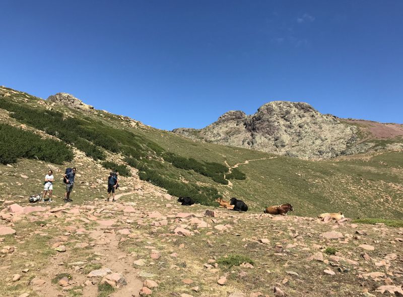 corsica expeditie