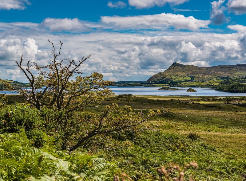 Groepsreis Ierland