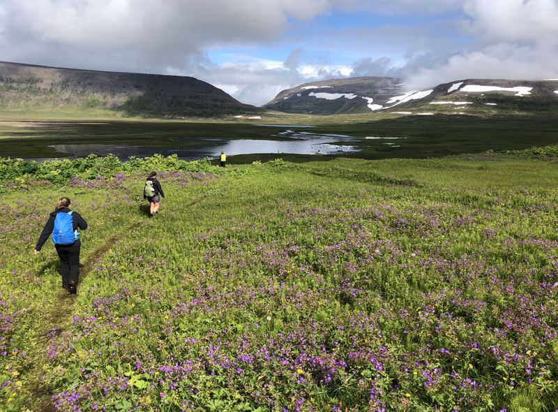 groepsreis IJsland