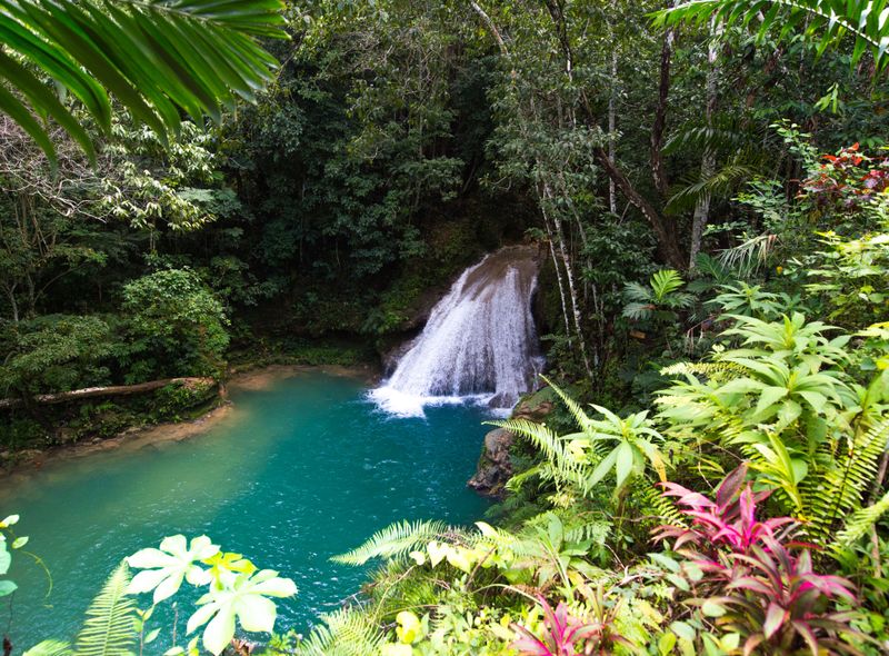 Groepsreis Jamaica