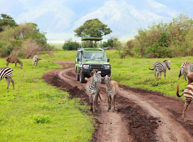 groepsreis Kenia Tanzania olifanten Kilimanjaro safari