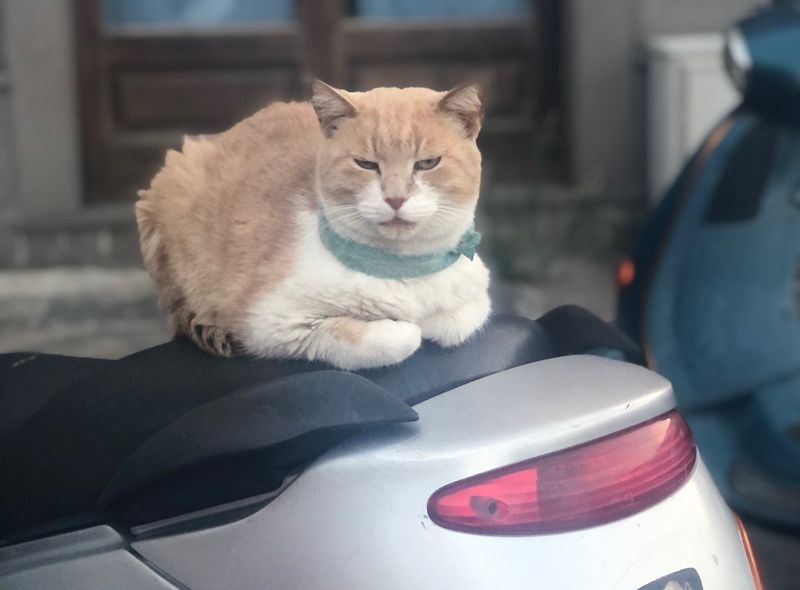 vespa