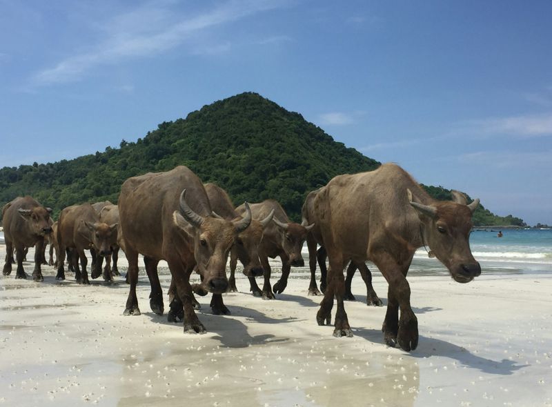 Lombok Beach