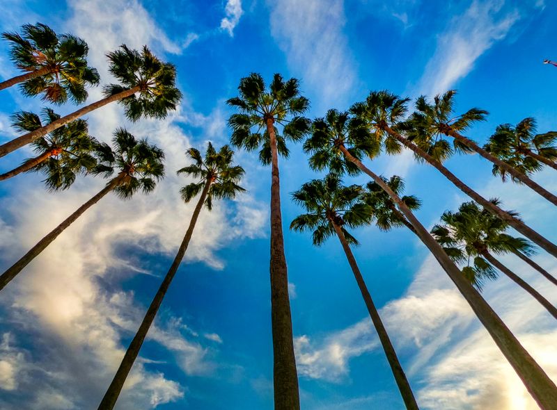 Groepsreis USA - Florida