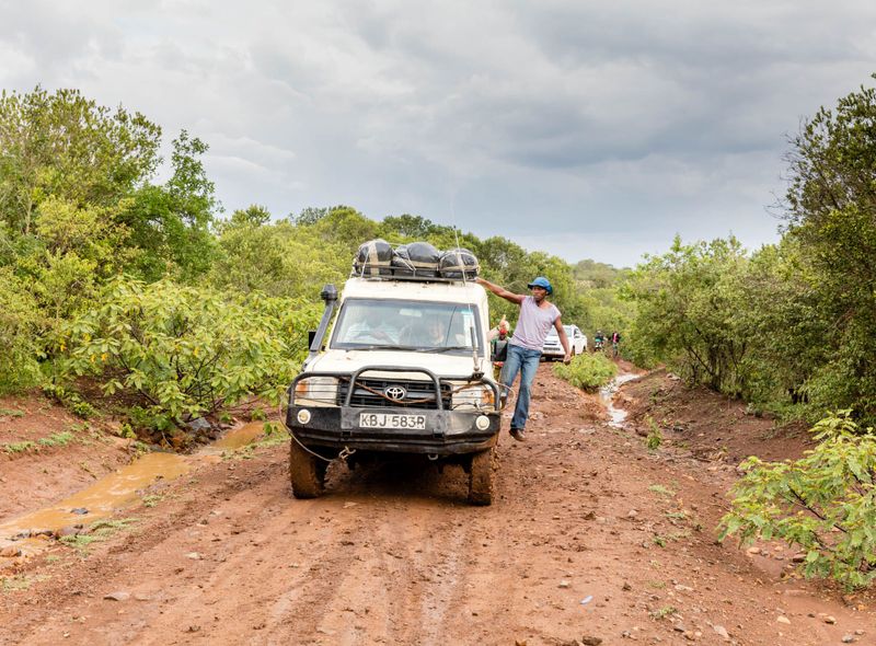 Kenia safari