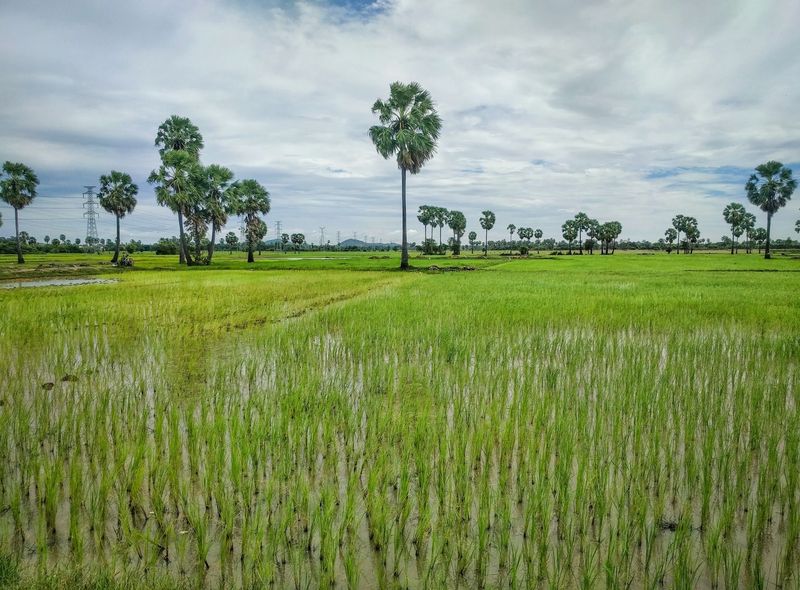 Cambodja & Thailand
