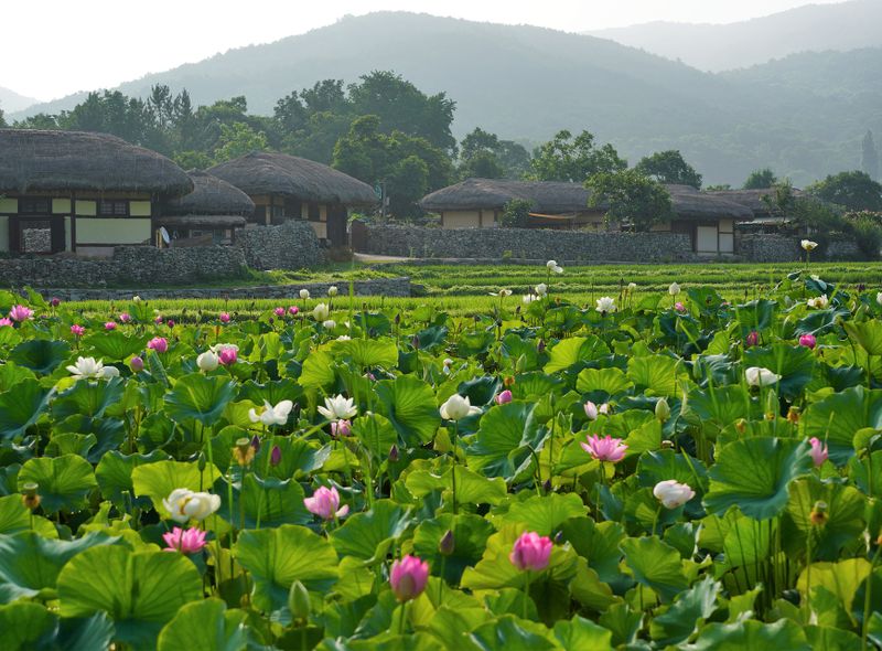 Korea country life - https://pixabay.com/photos/korea-tradition-seoul-traditional-5383188/