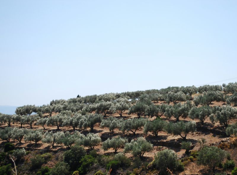 Groepsreis Griekenland Peleponnesos Comfort 