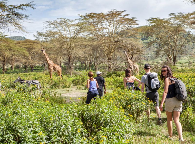 Kenia voetsafari giraf
