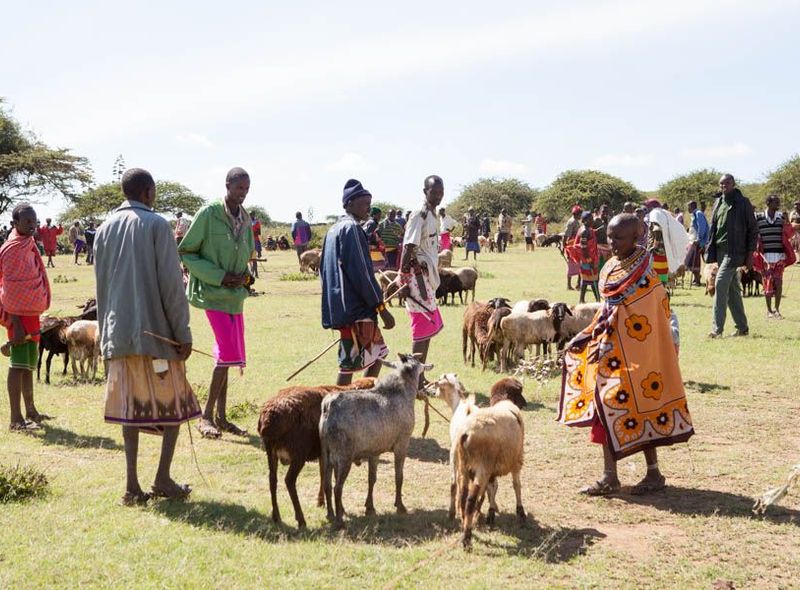 Kenia Maasai geiten