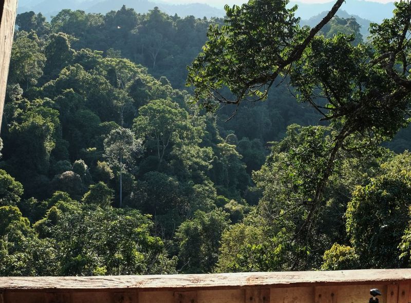 Laos
