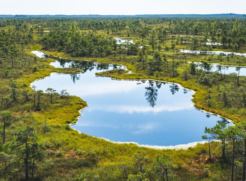 Groepsreis Litouwen Letland Estland