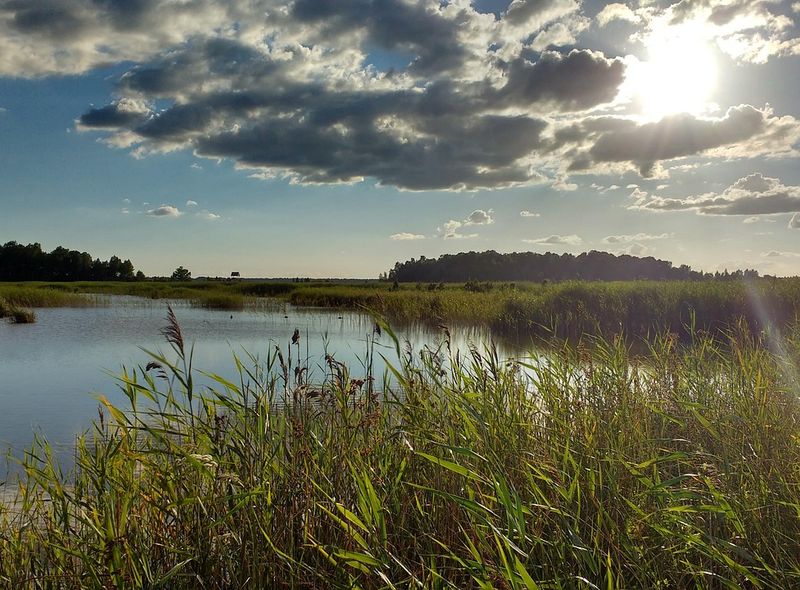 Groepsreis Litouwen Letland Estland